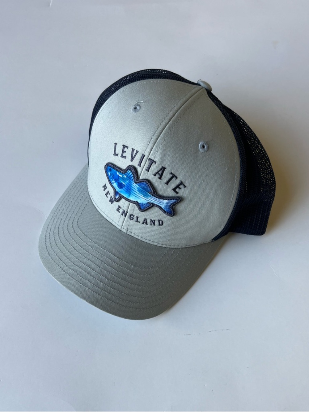 Levitate New England Snapback Hat